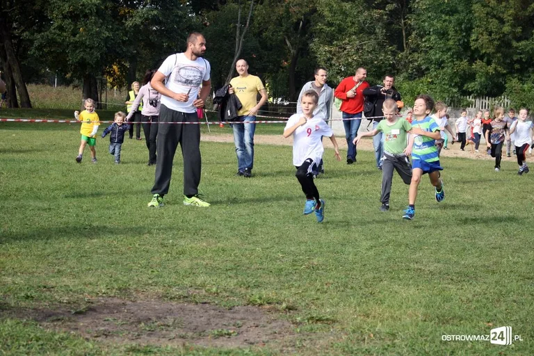 Mistrzostwa w biegach przełajowych (zdjęcia)