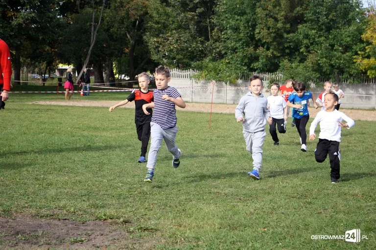 Mistrzostwa w biegach przełajowych (zdjęcia)