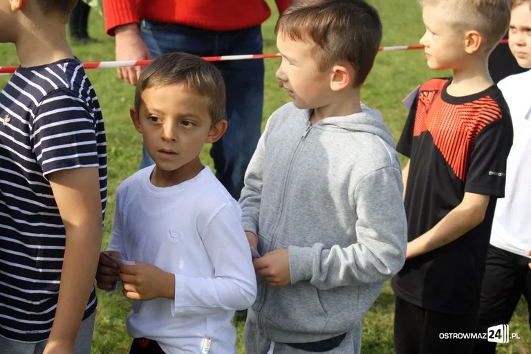 Mistrzostwa w biegach przełajowych (zdjęcia)