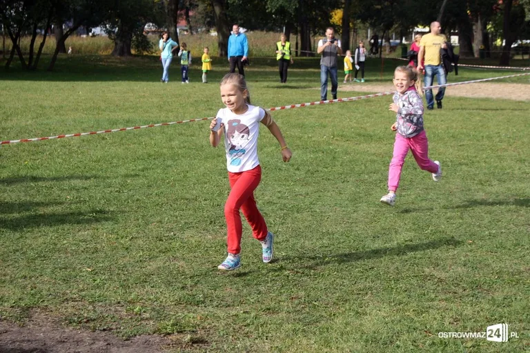 Mistrzostwa w biegach przełajowych (zdjęcia)
