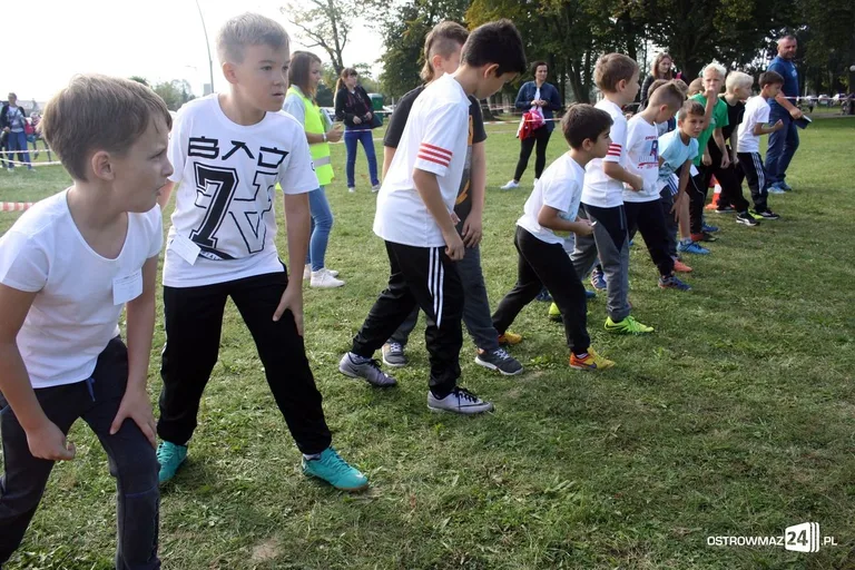 Mistrzostwa w biegach przełajowych (zdjęcia)