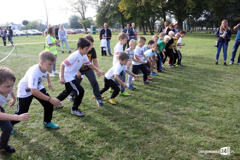 Mistrzostwa w biegach przełajowych (zdjęcia)