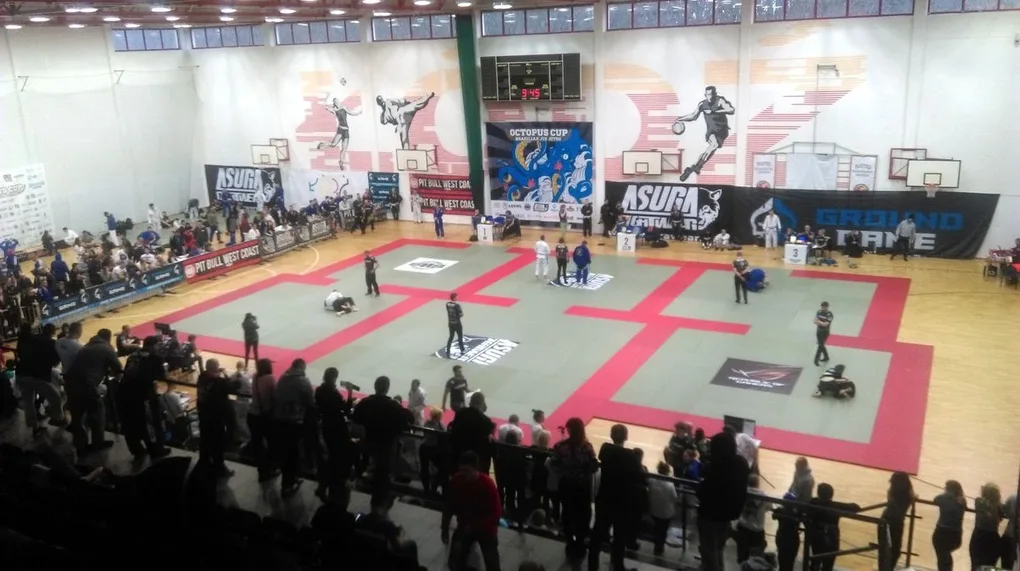 Sukcesy "goryli" podczas Octopus Cup III (zdjęcia)