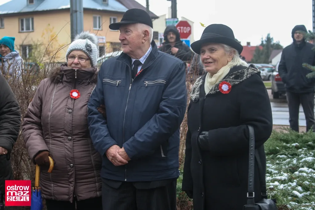 Miejskie obchody 11 listopada (zdjęcia)