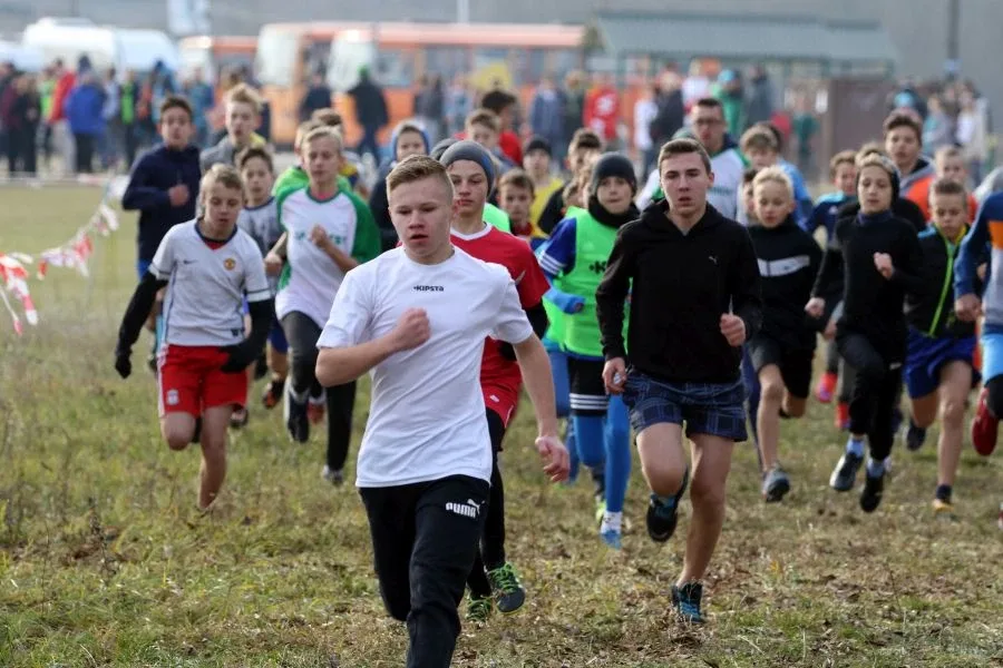 Biegacze z medalami i awansami (zdjęcia, wideo)