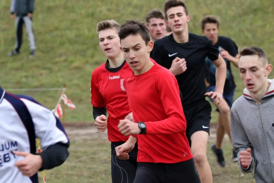 Biegacze z medalami i awansami (zdjęcia, wideo)