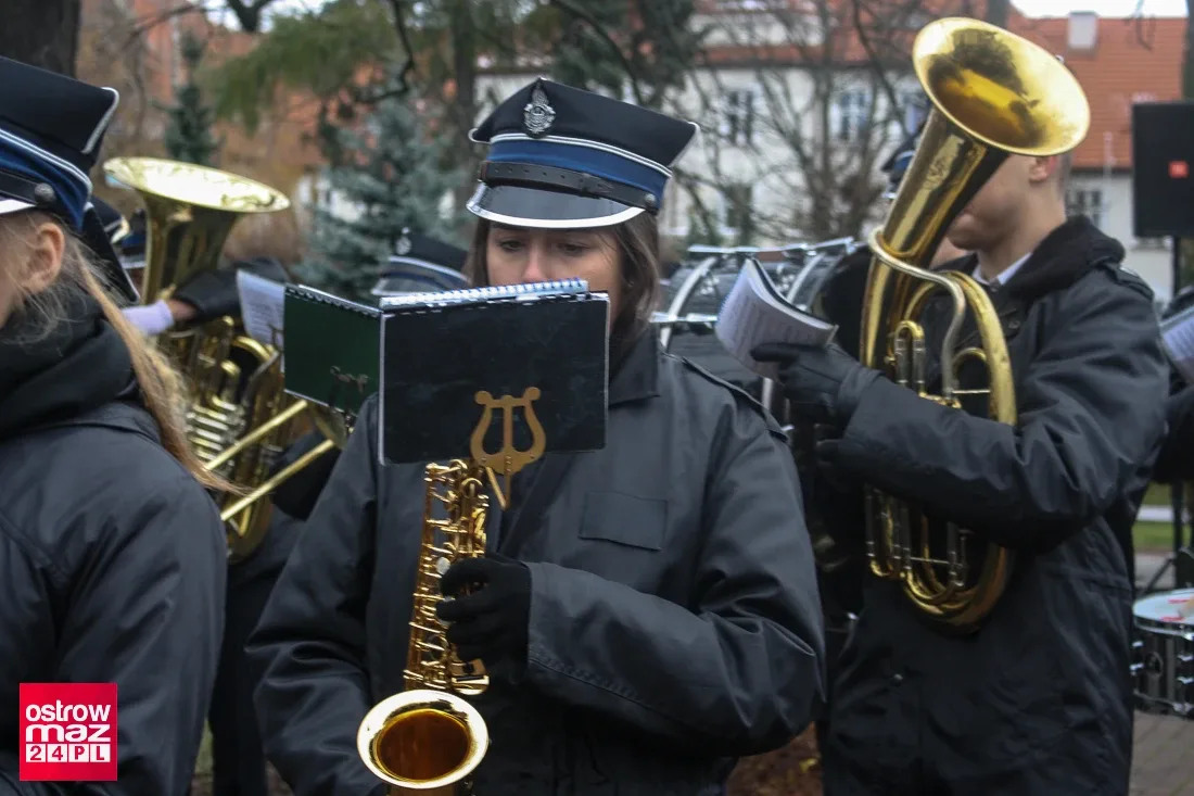 Miejskie obchody 11 listopada (zdjęcia)