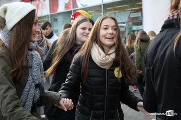 Poprzednie zdjęcie
