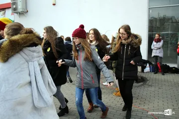 Poprzednie zdjęcie