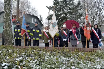 Następne zdjęcie