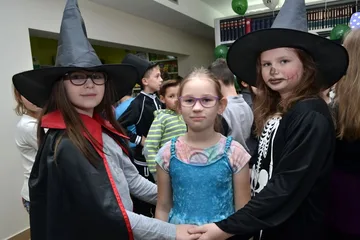 Następne zdjęcie