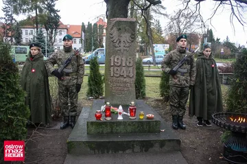 Poprzednie zdjęcie