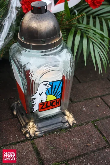 Następne zdjęcie