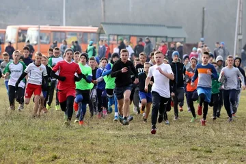 Poprzednie zdjęcie