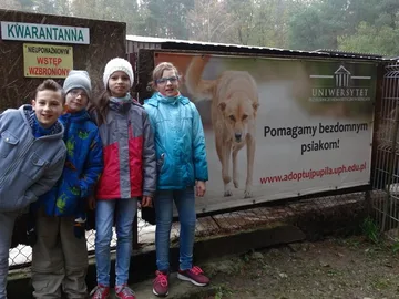 Następne zdjęcie