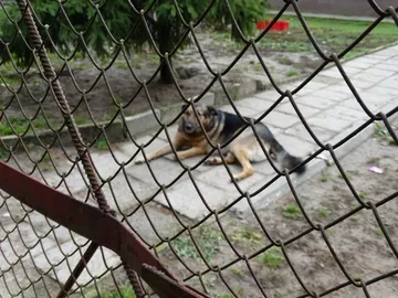 Poprzednie zdjęcie
