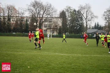 Następne zdjęcie