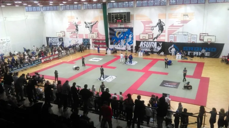 Sukcesy "goryli" podczas Octopus Cup III (zdjęcia)