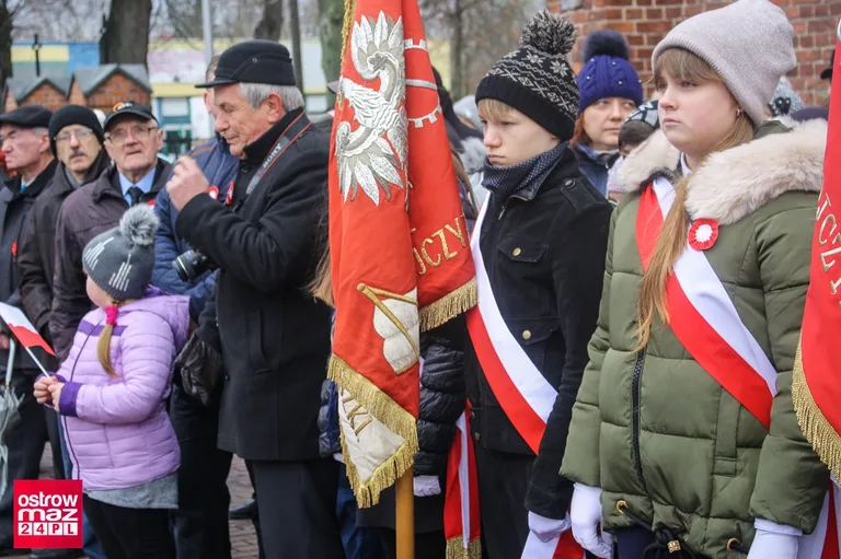 Miejskie obchody 11 listopada (zdjęcia)