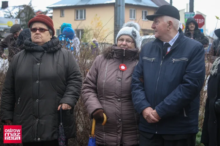 Miejskie obchody 11 listopada (zdjęcia)