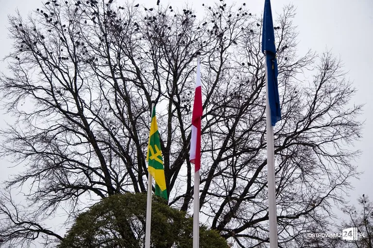 Spadł śnieg (zdjęcia, wideo)