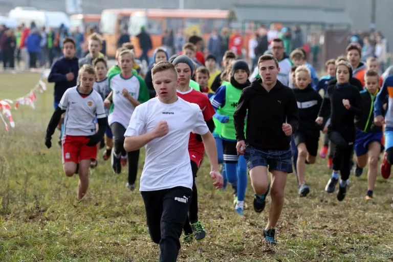 Biegacze z medalami i awansami (zdjęcia, wideo)