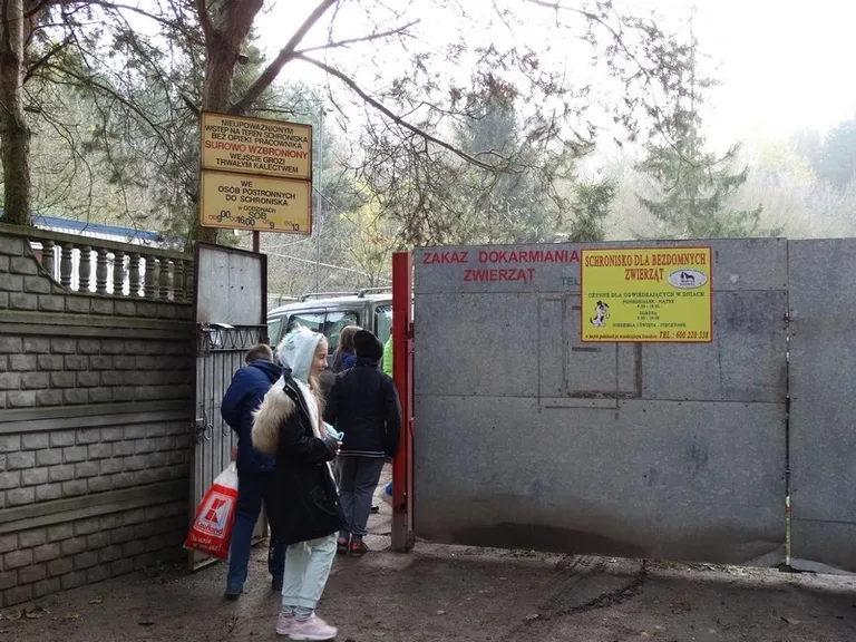 Uczniowie SP nr 1 obchodzili Dzień Zwierzaka (zdjęcia)