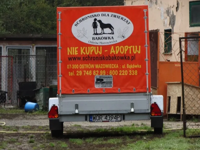 Uczniowie SP nr 1 obchodzili Dzień Zwierzaka (zdjęcia)