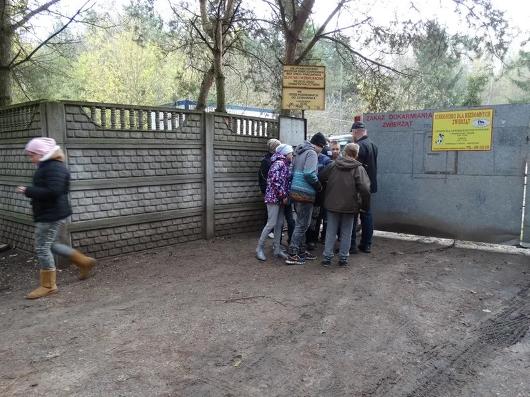 Uczniowie SP nr 1 obchodzili Dzień Zwierzaka (zdjęcia)