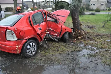 Opel uderzył w drzewo (zdjęcia)