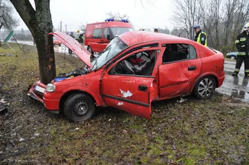 Opel uderzył w drzewo (zdjęcia)