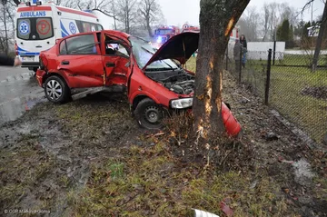 Opel uderzył w drzewo (zdjęcia)