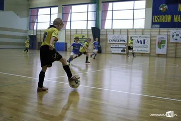 Następne zdjęcie
