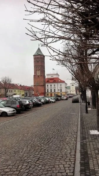 Blisko trzystu ostrowskich uczniów zwiedziło Pułtusk (zdjęcia)