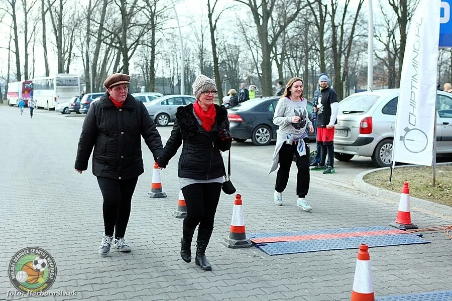 Ostrów pobiegła "Tropem Wilczym" (zdjęcia)