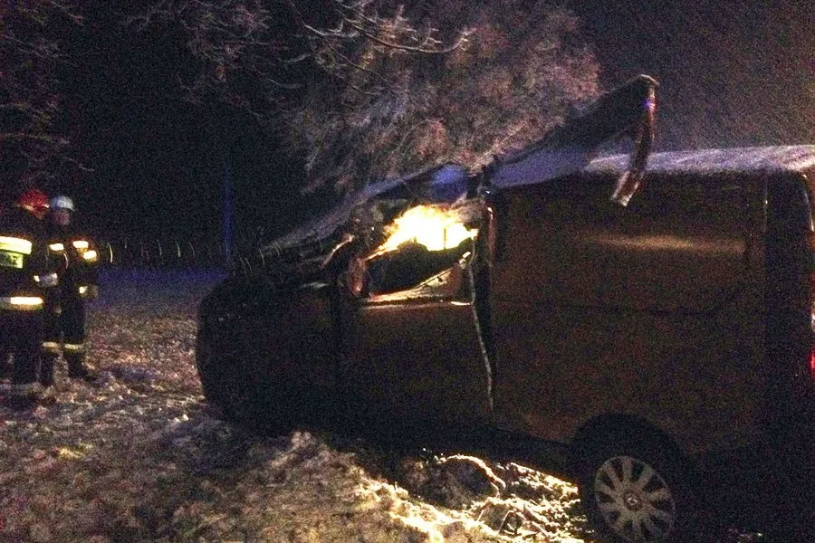 Renault wylądowało w rowie (zdjęcia)
