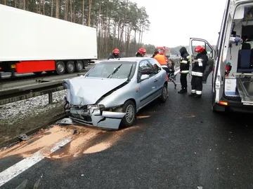 Następne zdjęcie