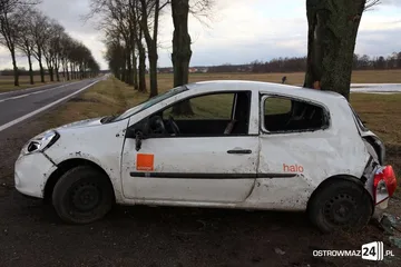 Poprzednie zdjęcie