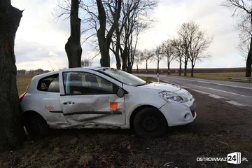 Następne zdjęcie