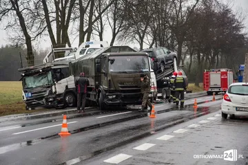 Następne zdjęcie