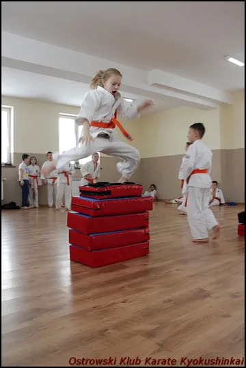Następne zdjęcie