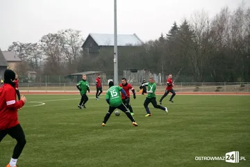 Poprzednie zdjęcie