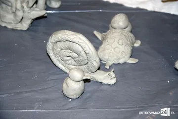 Następne zdjęcie