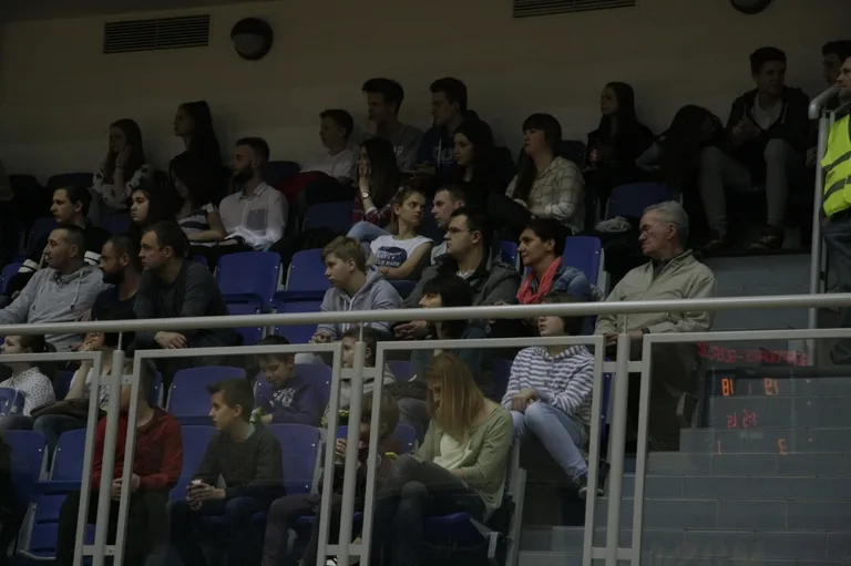 Sokół uległ Shmoolkom (zdjęcia, wideo)