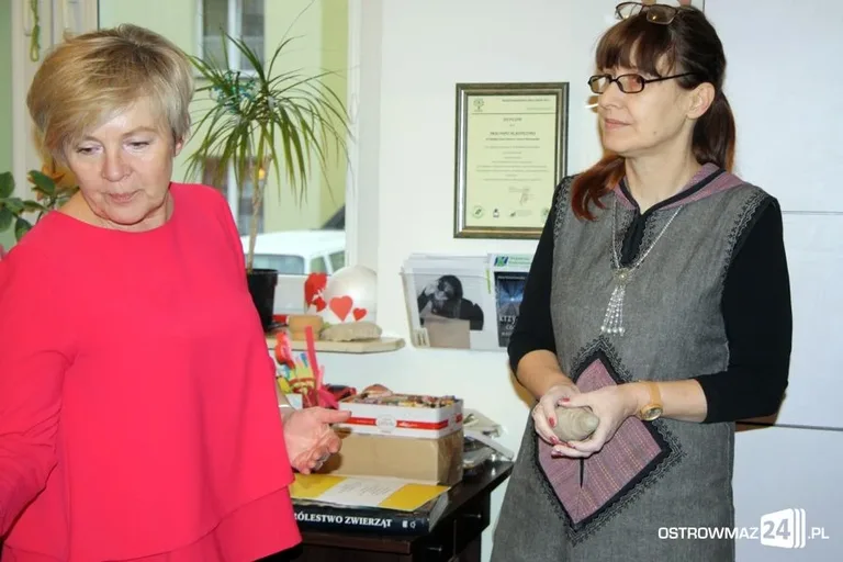 Lepili wymyślone zwierzaki (zdjęcia)