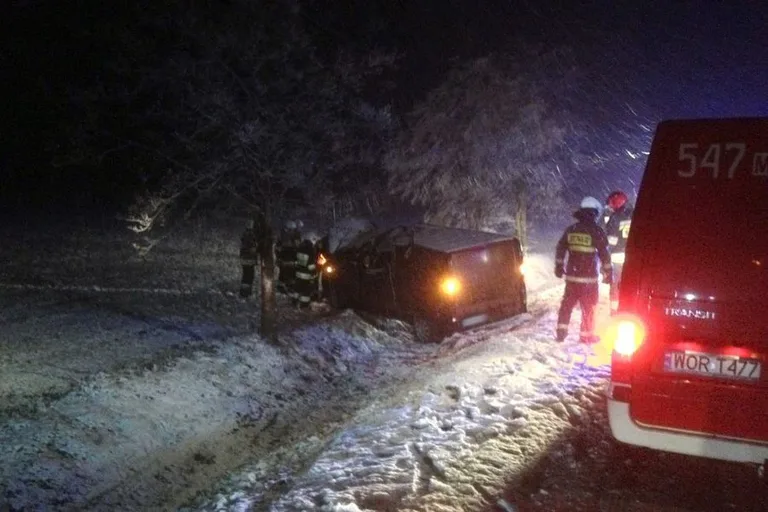 Renault wylądowało w rowie (zdjęcia)