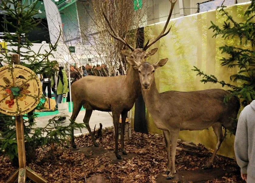 Targi łowiectwa z udziałem uczniów GP nr 1 (zdjęcia)