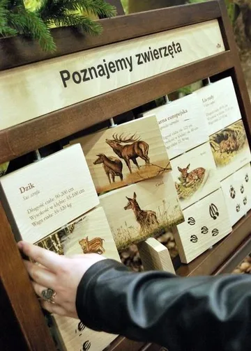 Następne zdjęcie