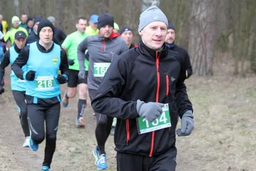 Poprzednie zdjęcie