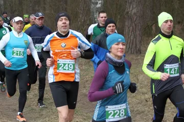 Poprzednie zdjęcie